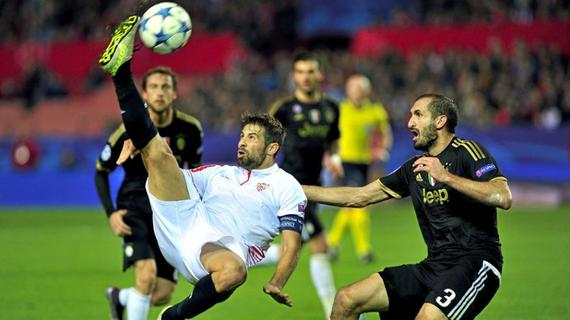 开云体育教练-包含沙尔克球迷发起激烈抗议,要求更换主帅的词条