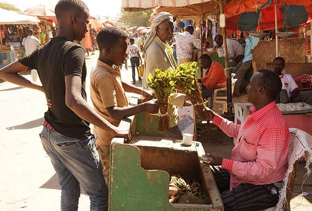 包含索马里篮球协会发起全民篮球活动的词条