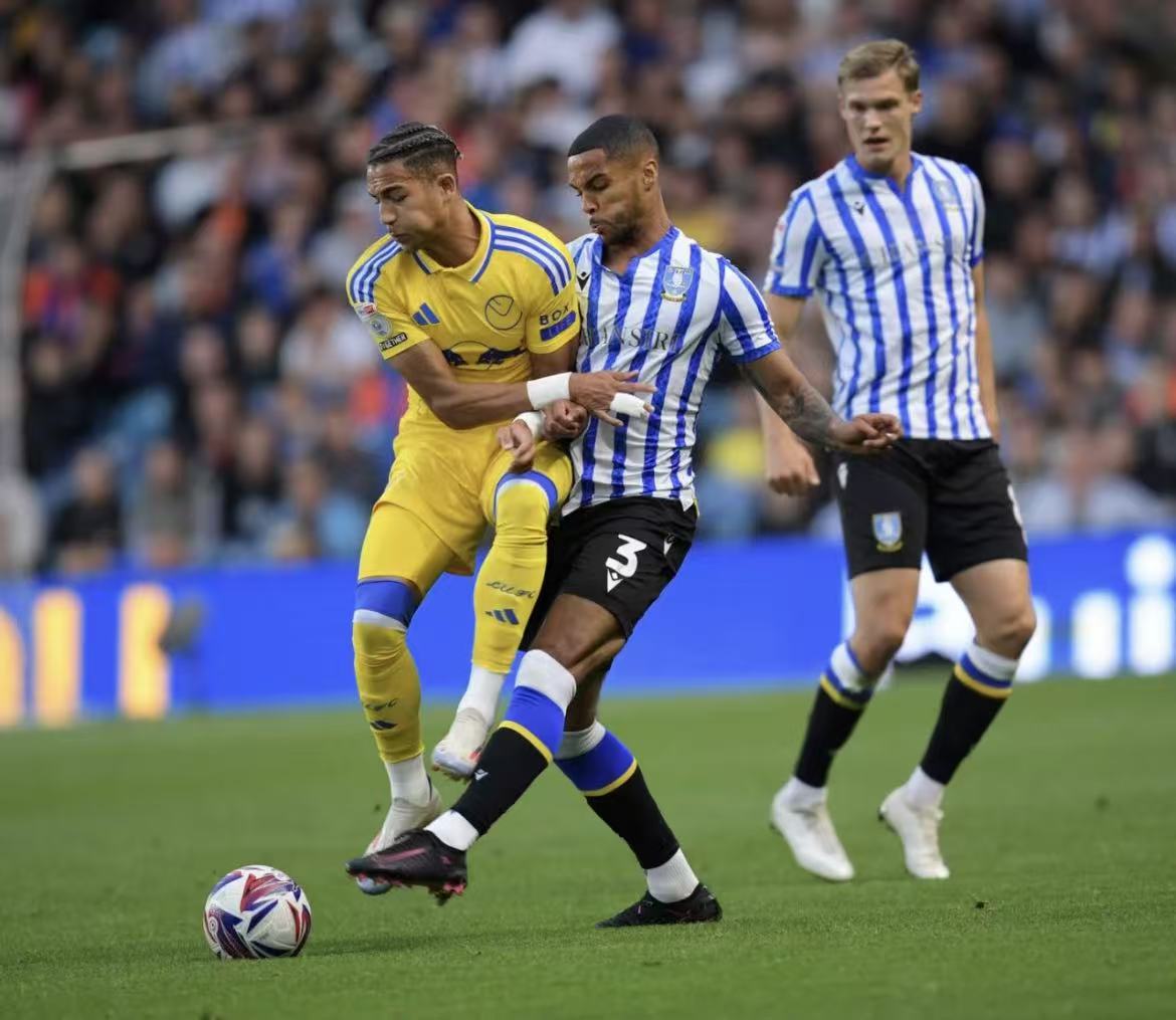 开云体育登录-利兹联客场遭遇连败，保级形势严峻的简单介绍